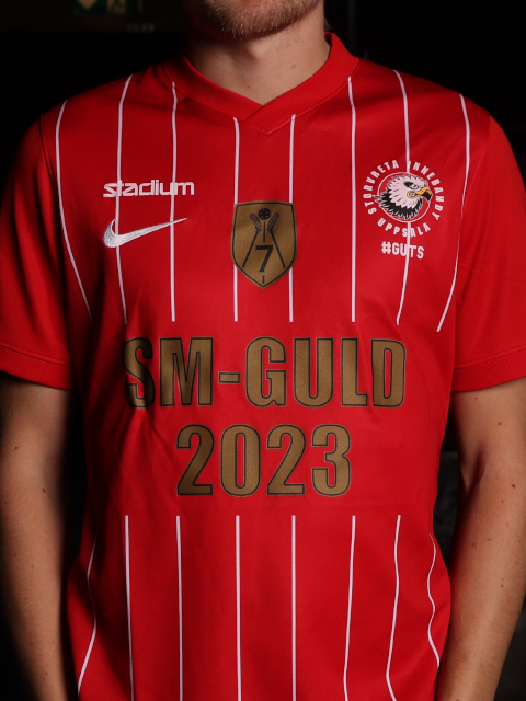 T-shirt SM-Guld - 2