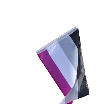 Asex-fasadflagga ersättnings flagga 40 x 60 cm 
