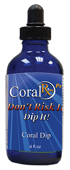 Coral RX Pro Coral Dip