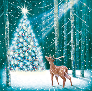 Wonderland Enchanted, Christmas Box Deluxe - 2