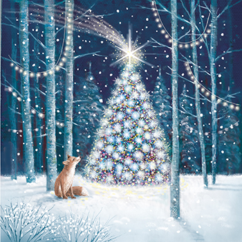 Wonderland Enchanted, Christmas Box Deluxe - 3