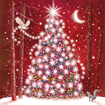 Wonderland Enchanted, Christmas Box Deluxe - 4