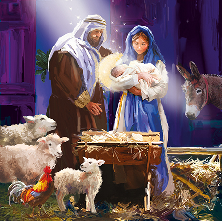 Farm Nativity Scenes, Christmas Box Deluxe - 3