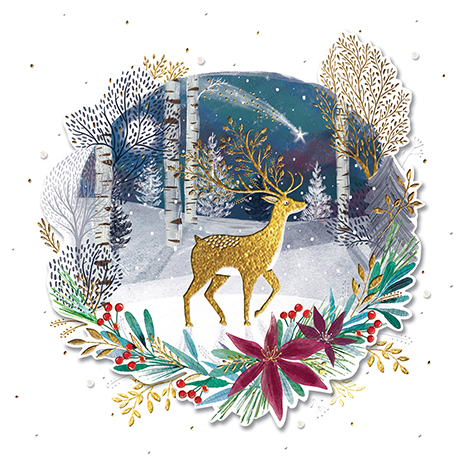 Winter Forest, Christmas Box Deluxe - 2