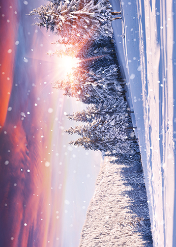 Winter Scenes, Christmas Big Value Boxes - 8