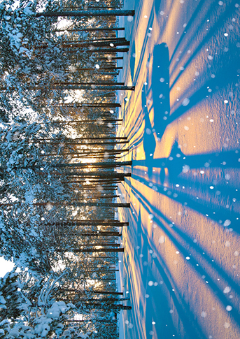 Winter Scenes, Christmas Big Value Boxes - 9
