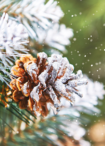 Winter Scenes, Christmas Big Value Boxes - 3