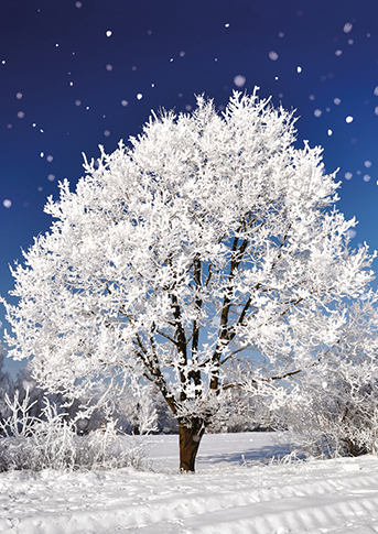 Winter Scenes, Christmas Big Value Boxes - 2