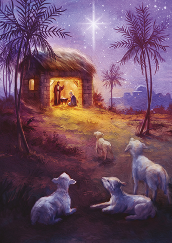 Religious Bvb, Christmas Big Value Boxes - 3