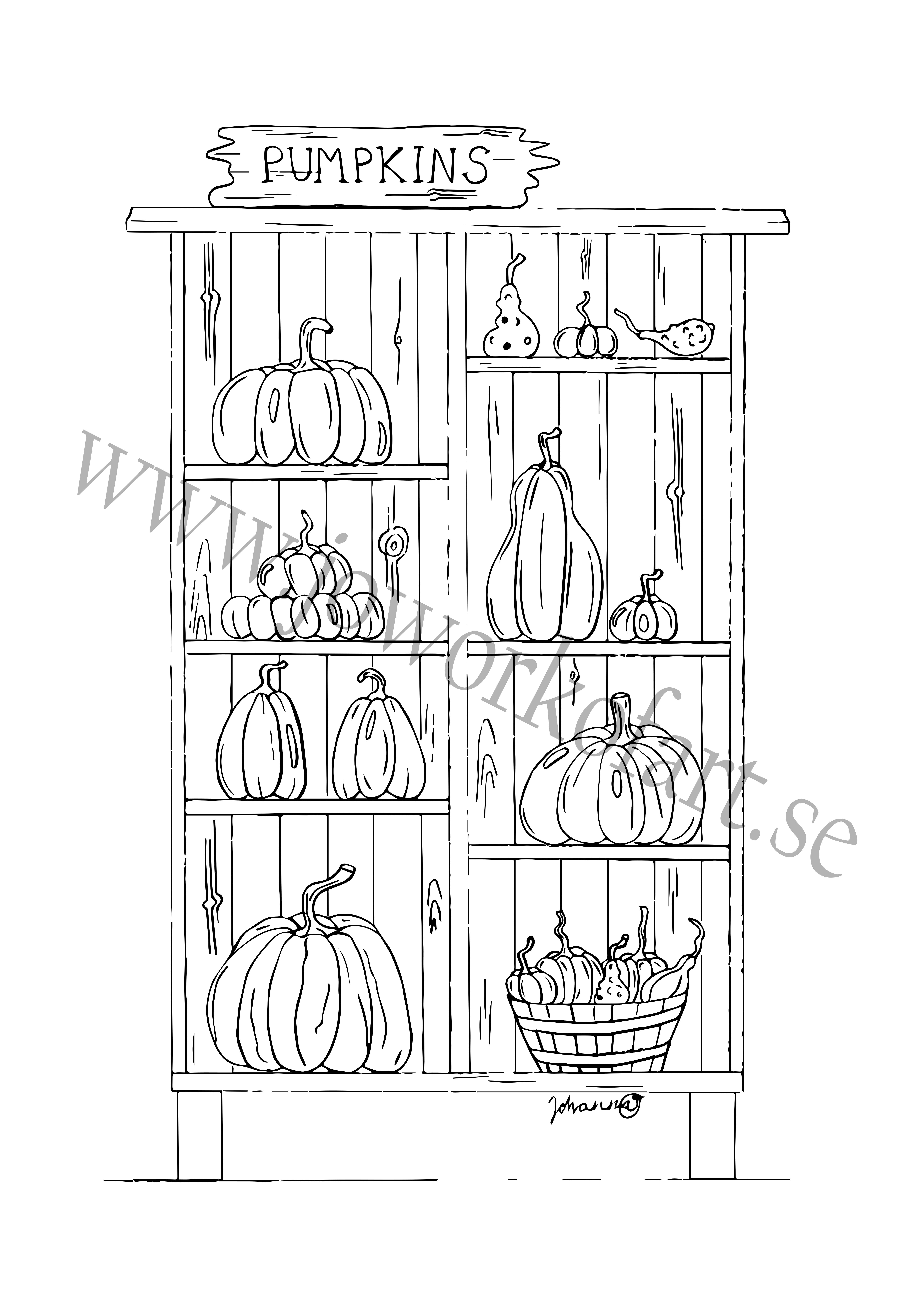 Färgläggningsbild "Pumpor i trähylla" (Digital produkt)