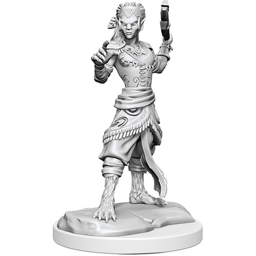 D&D Nolzur's Marvelous Unpainted Minis: Shifter Fighter
