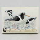 Staffan Johnson (1980s) White Wall Plaque with Eurasian Oystercatcher Motif 15 cm  [Sample Images]