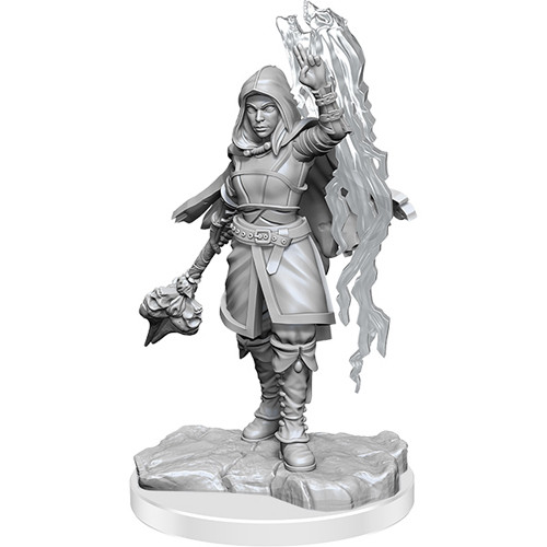 D&D Nolzur's Marvelous Unpainted Minis: Half-Elf Warlock - 2