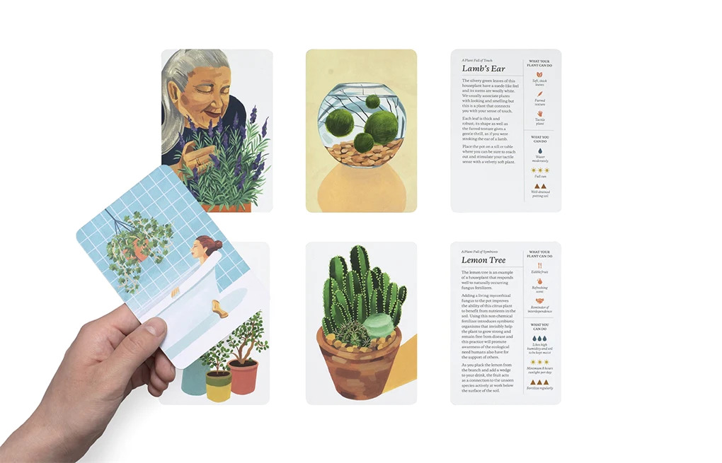 Plantfulness, How to Change Your Life with Plants - 5