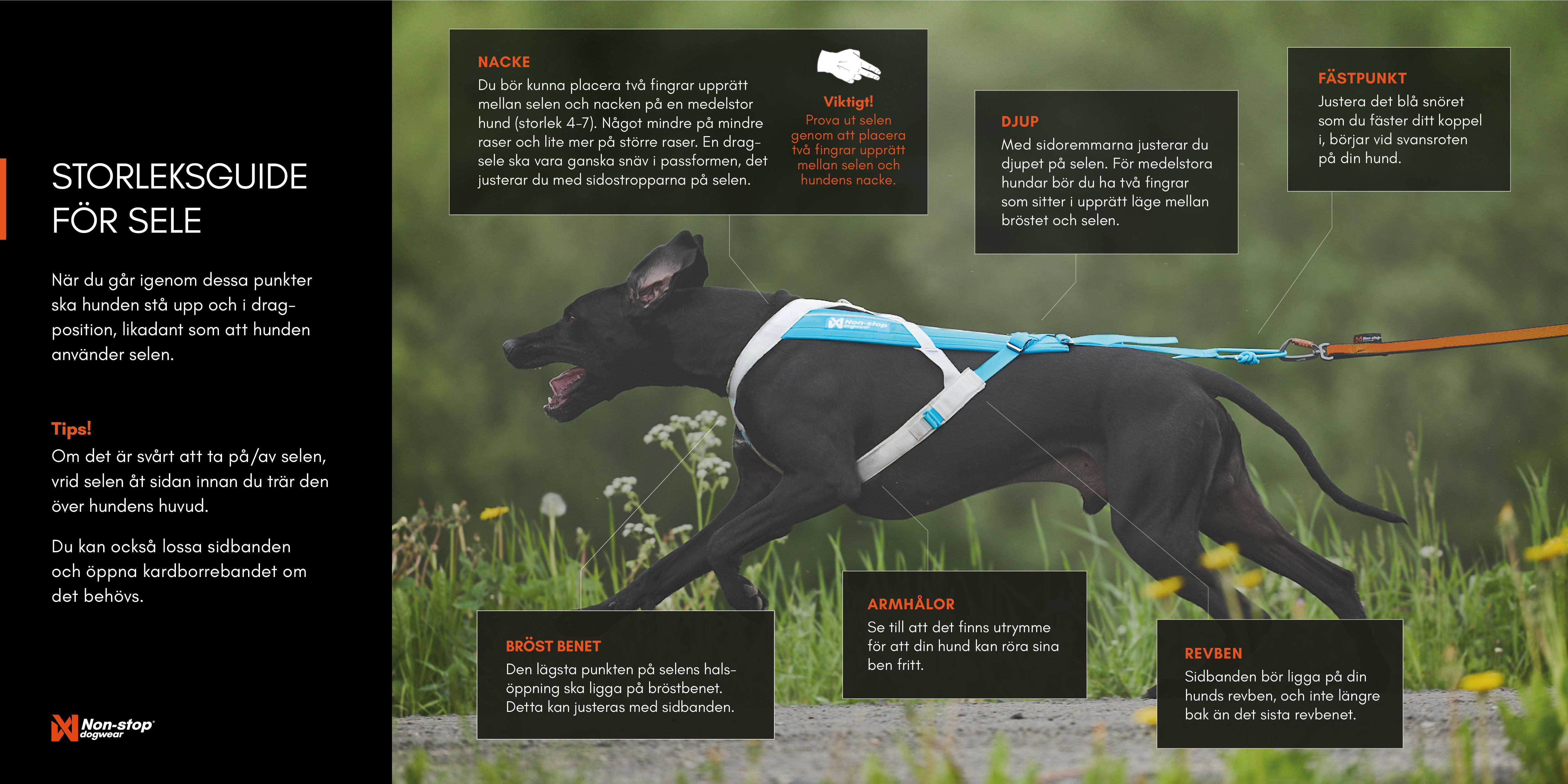 Non-Stop Dogwear Freemotion Harness 5.0 Dragsele - Teal