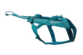 Non-Stop Dogwear Freemotion Harness 5.0 Dragsele - Teal