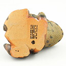 Paul Hoff (WWF 1980s) Eye-Catching European Green Toad (2)
