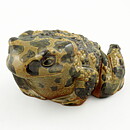 Paul Hoff (WWF 1980s) Eye-Catching European Green Toad (2)