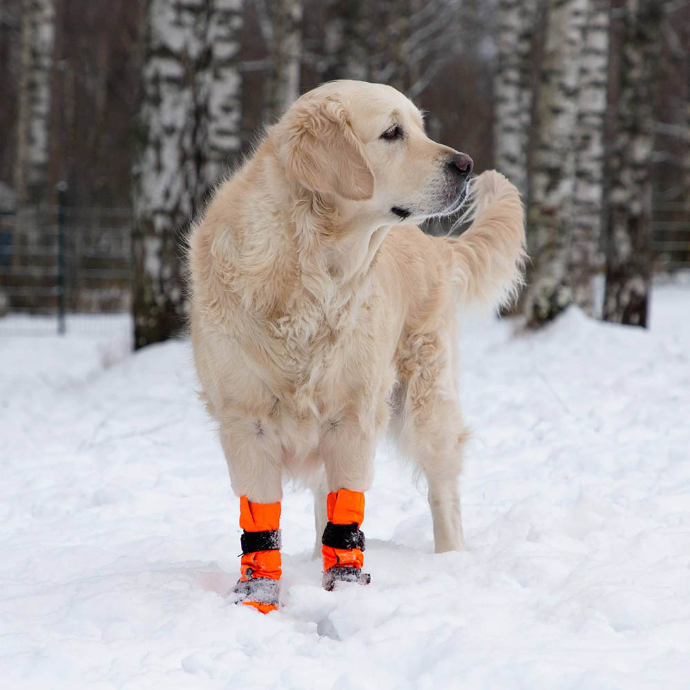 Sulo protective booties Durable shoe for your dog