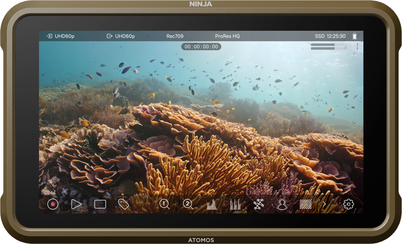 Ninja, 5-inch, 1000nit HDR monitor-recorder for DSLR and mirrorless cameras - 2