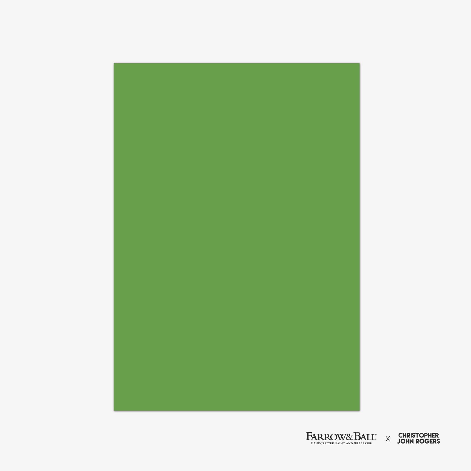 RAW TOMATILLO CB6, flera val - 4