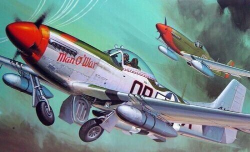 1/32 P-51D Mustang