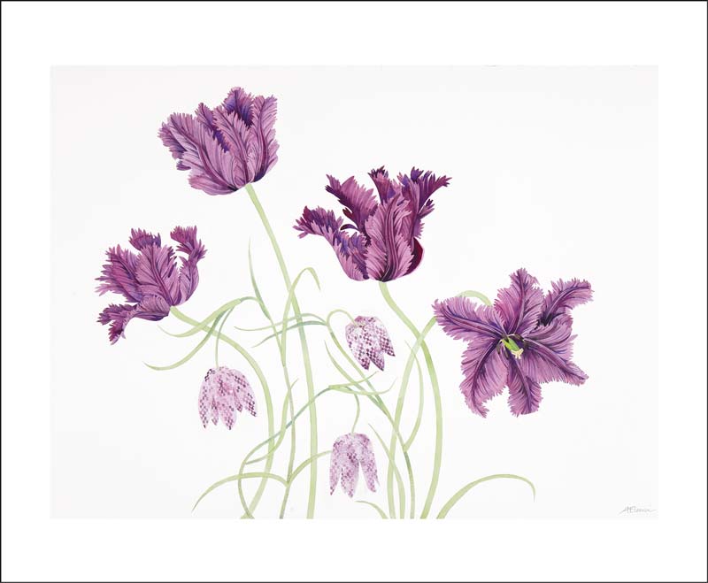 Parrot Tulips and Fritillaries, Greeting Card