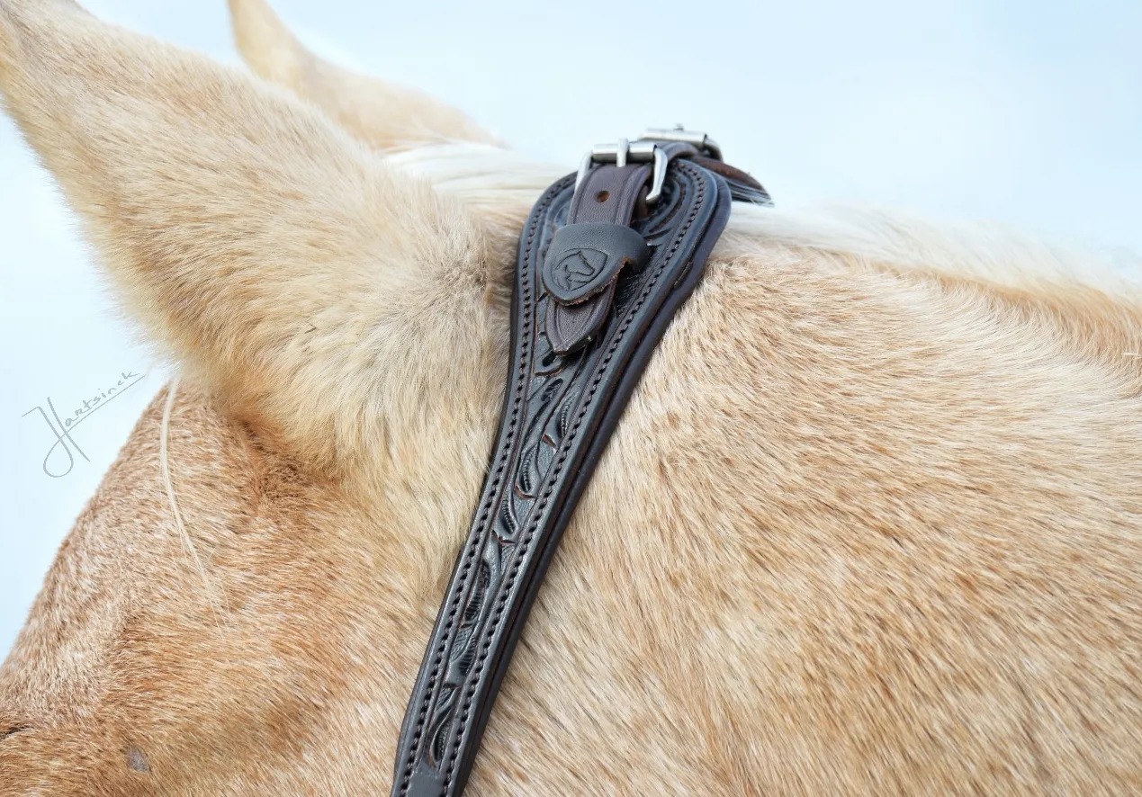 Hackamore bridle Edix© Q-Jazz Anatomical  - 10
