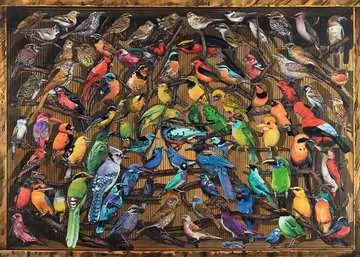 Rainbow Of Birds 1000 Bitar Ravensburger