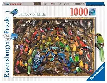 Rainbow Of Birds 1000 Bitar Ravensburger
