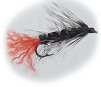 W - Streamer - Wolly Worm