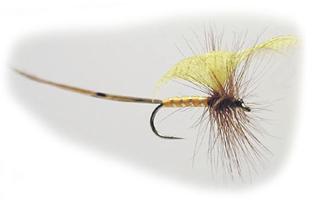 W - Mayflies - Yellow Drake Winged 