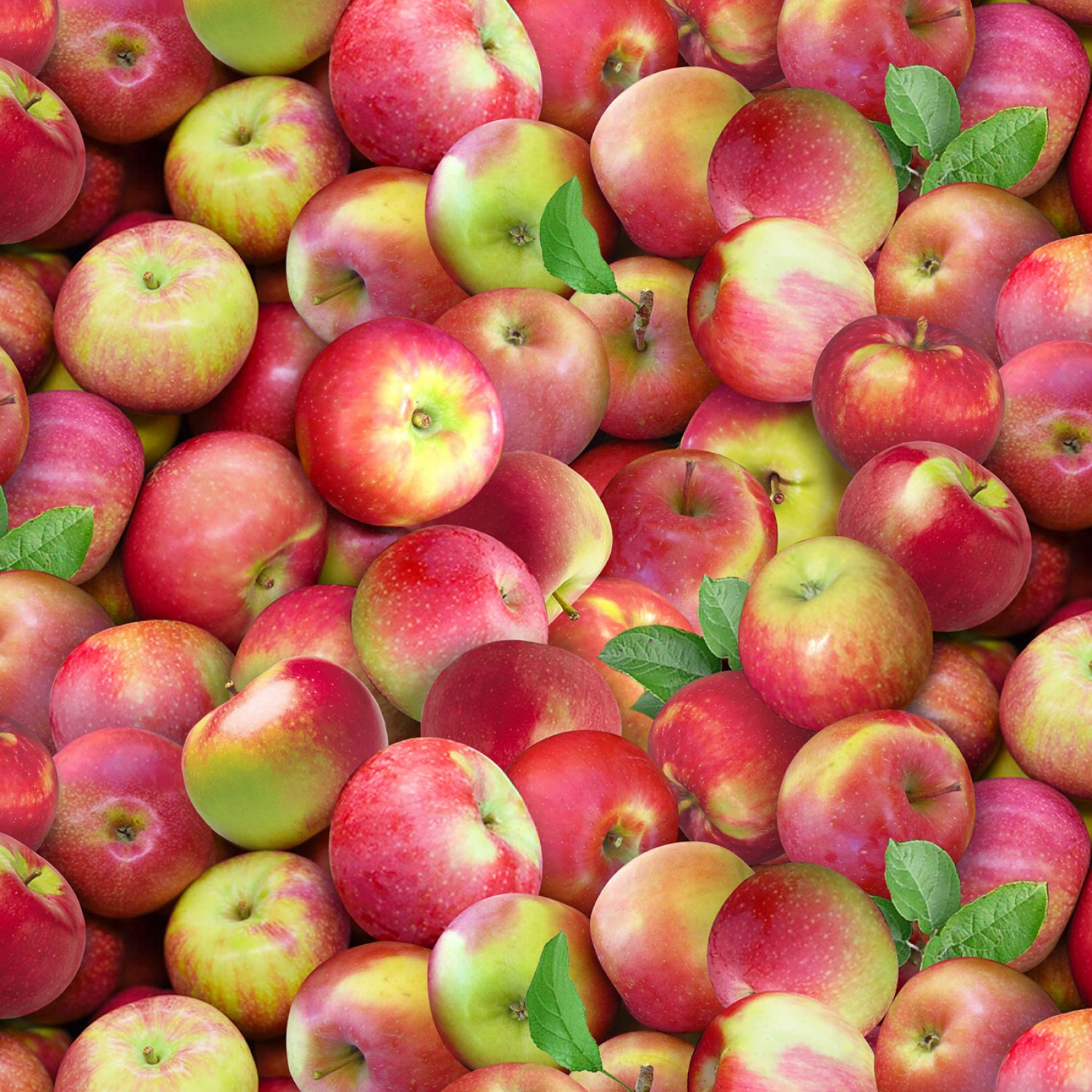 Äpplen - Multi McIntosh Apples
