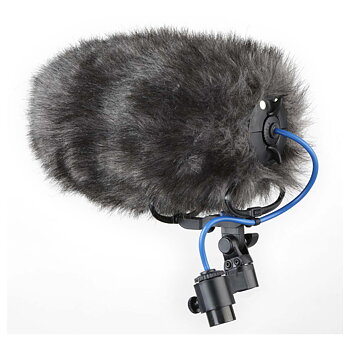 Cinela - COSI-M-22a
