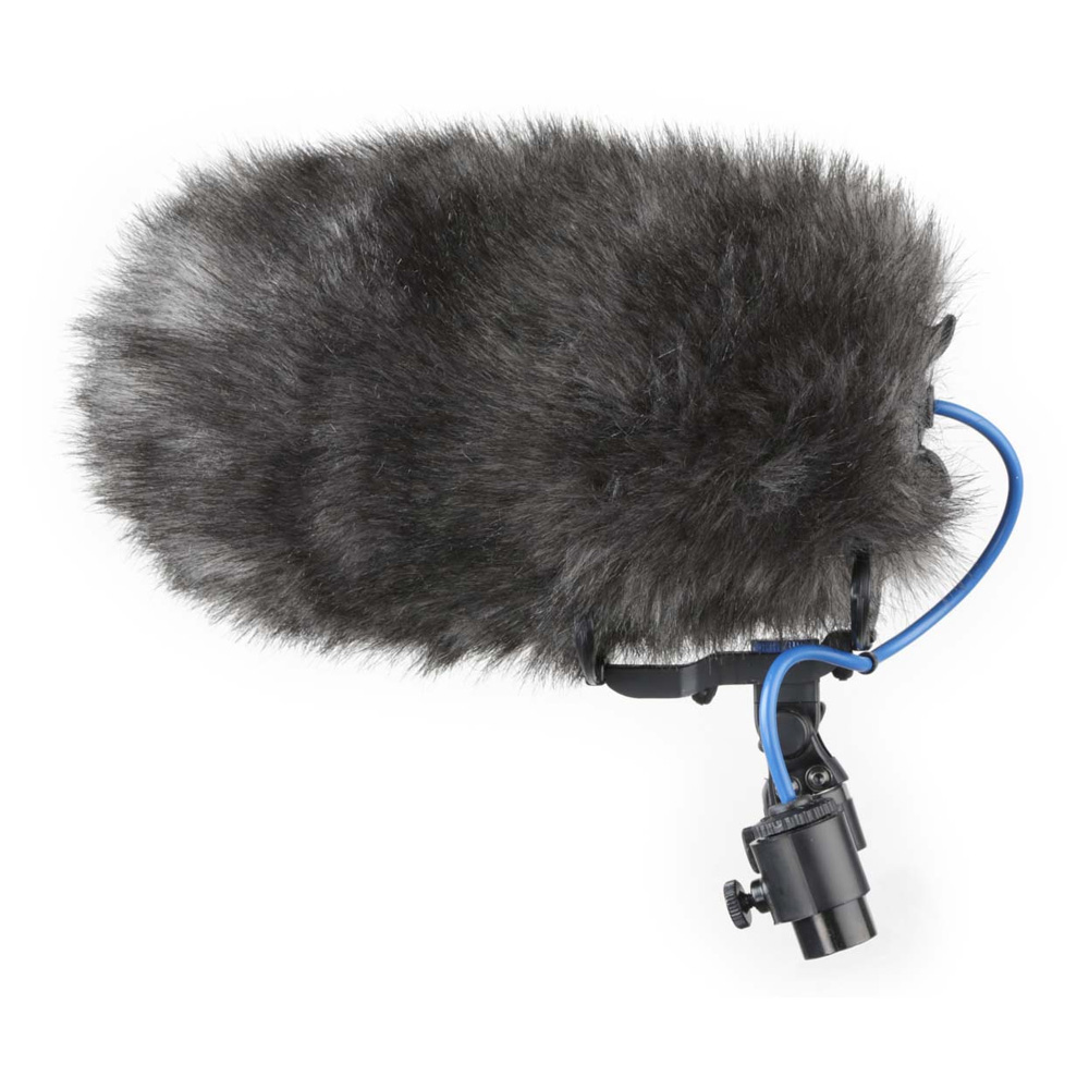 Cinela - COSI-M-22a - 2
