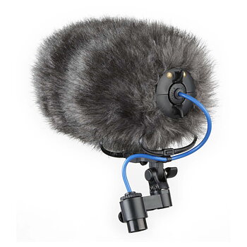 Cinela - COSI-M-22b