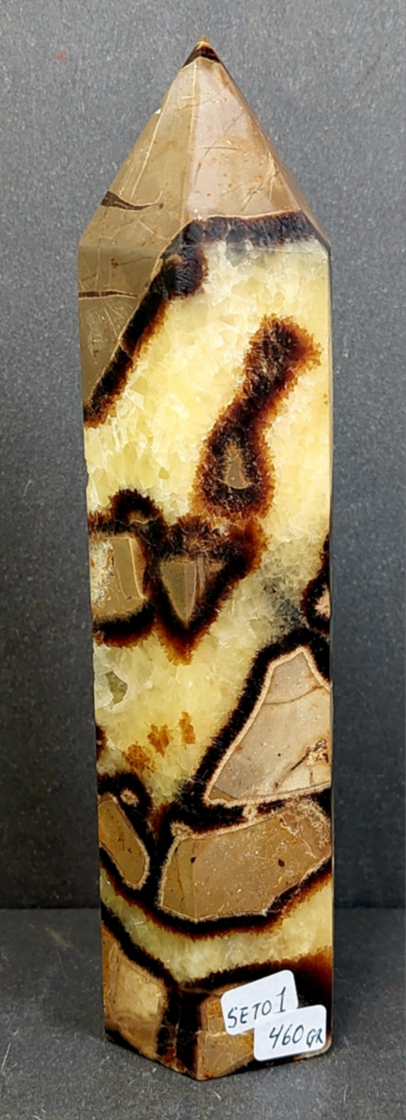 Septaria Torn