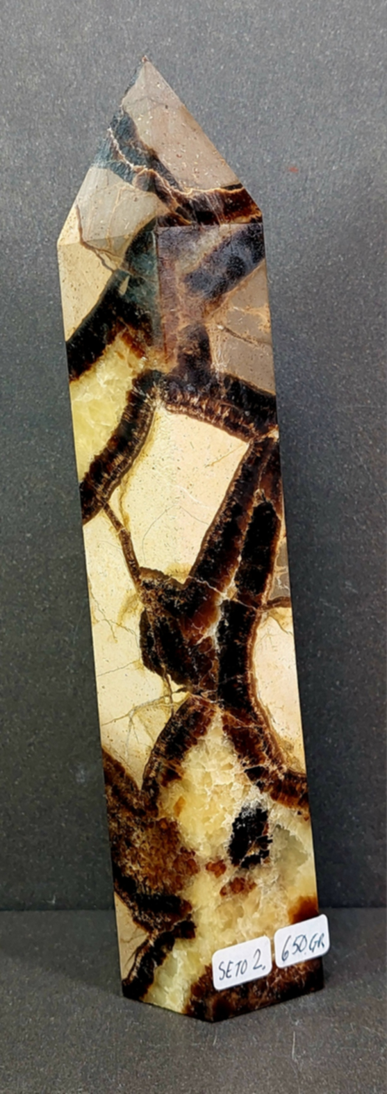 Septaria Torn