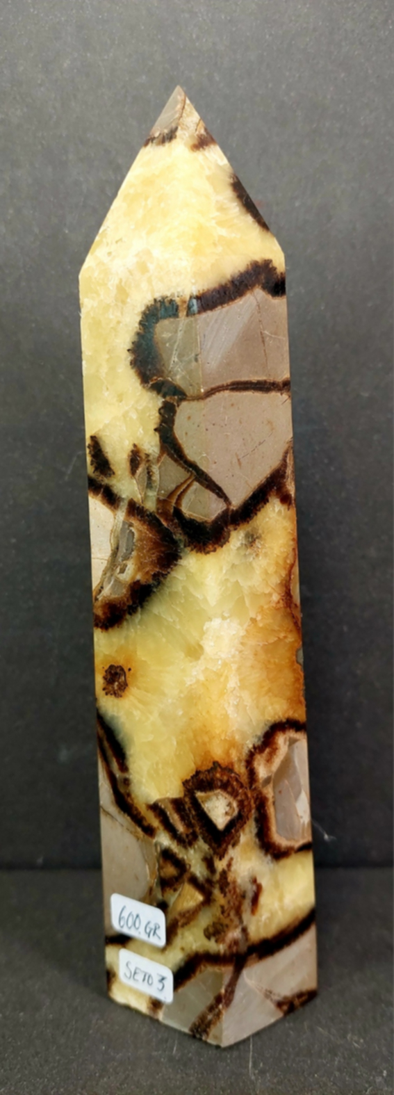 Septaria Torn