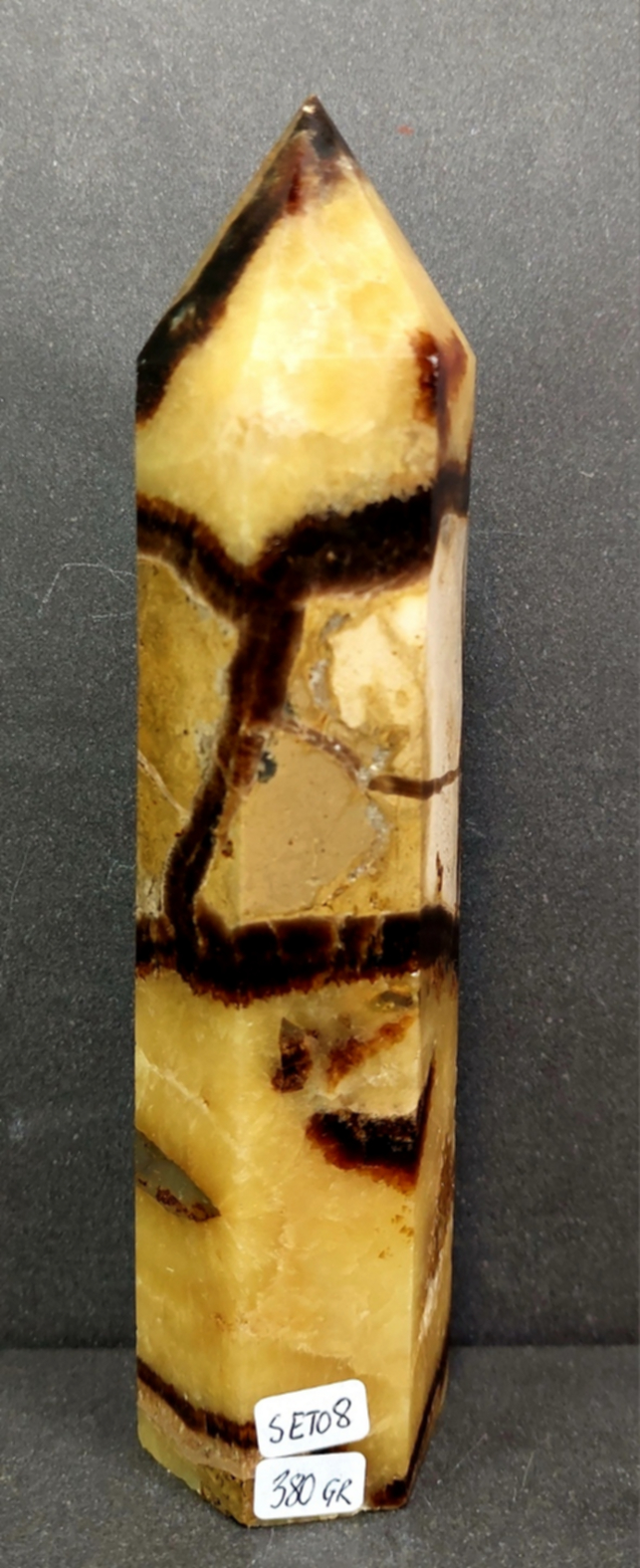 Septaria Torn