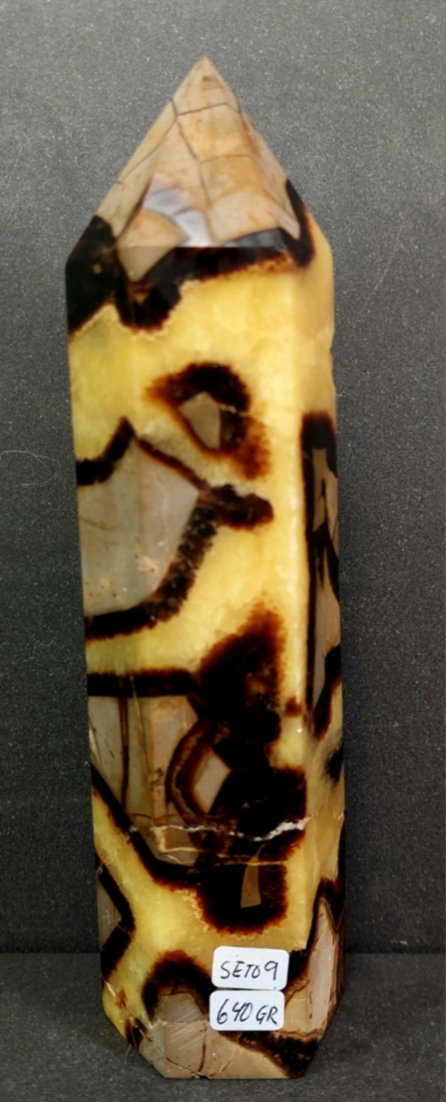 Septaria Torn