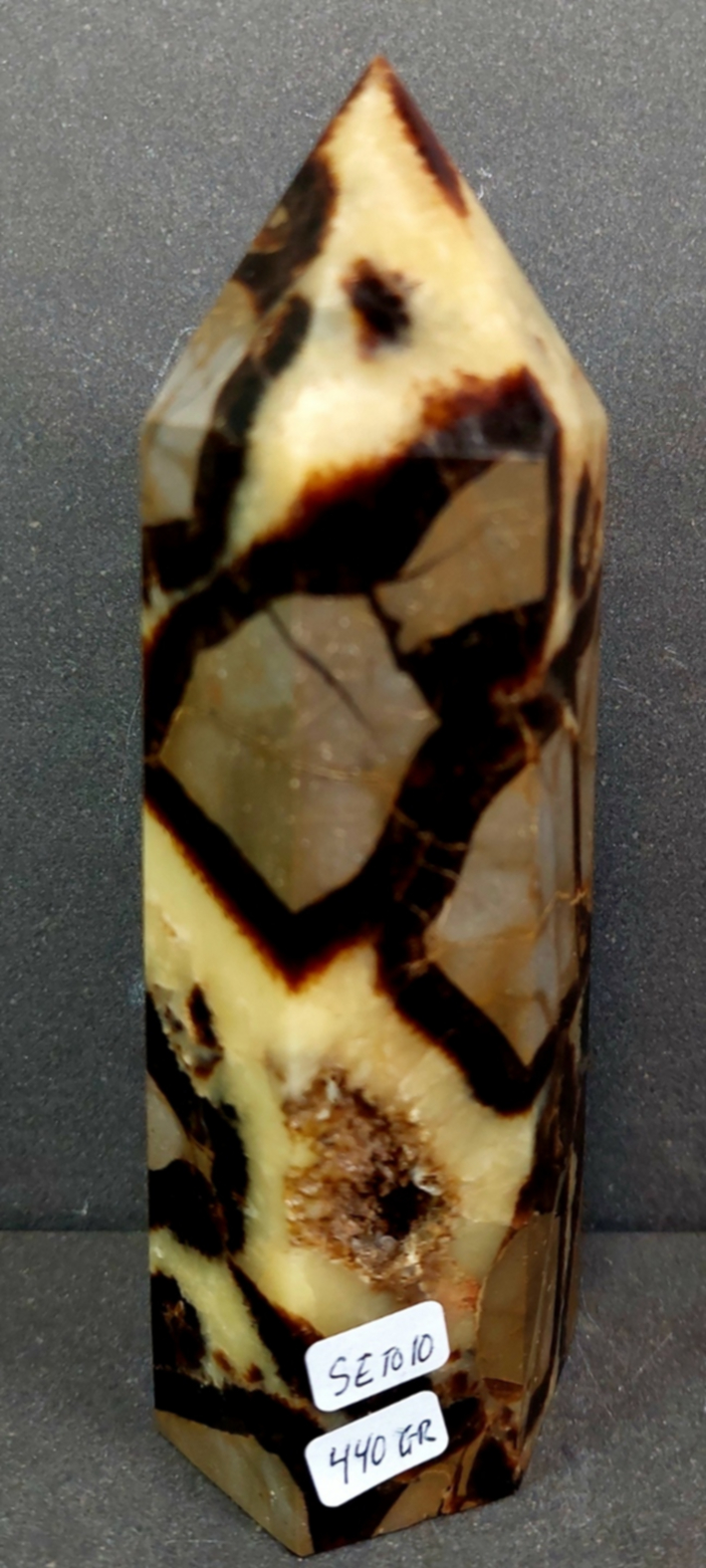 Septaria Torn