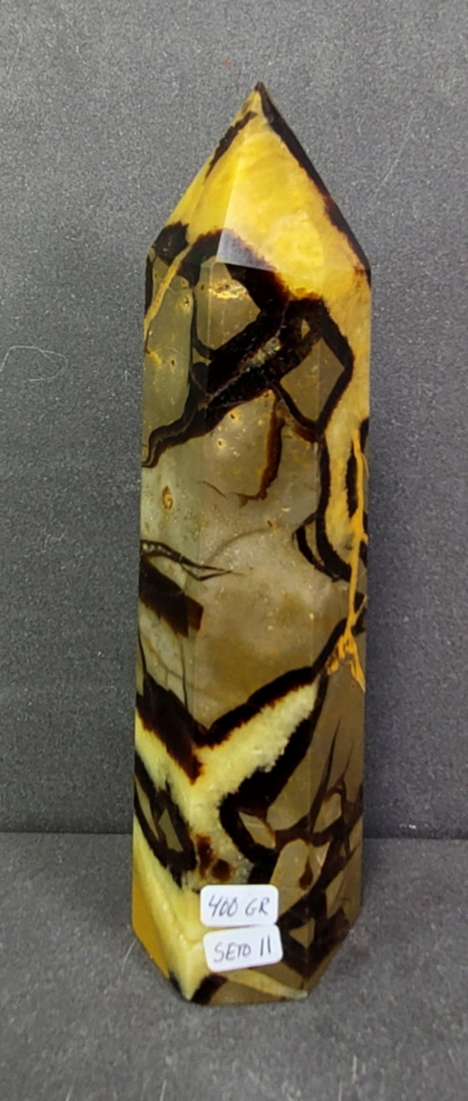 Septaria Torn - 2