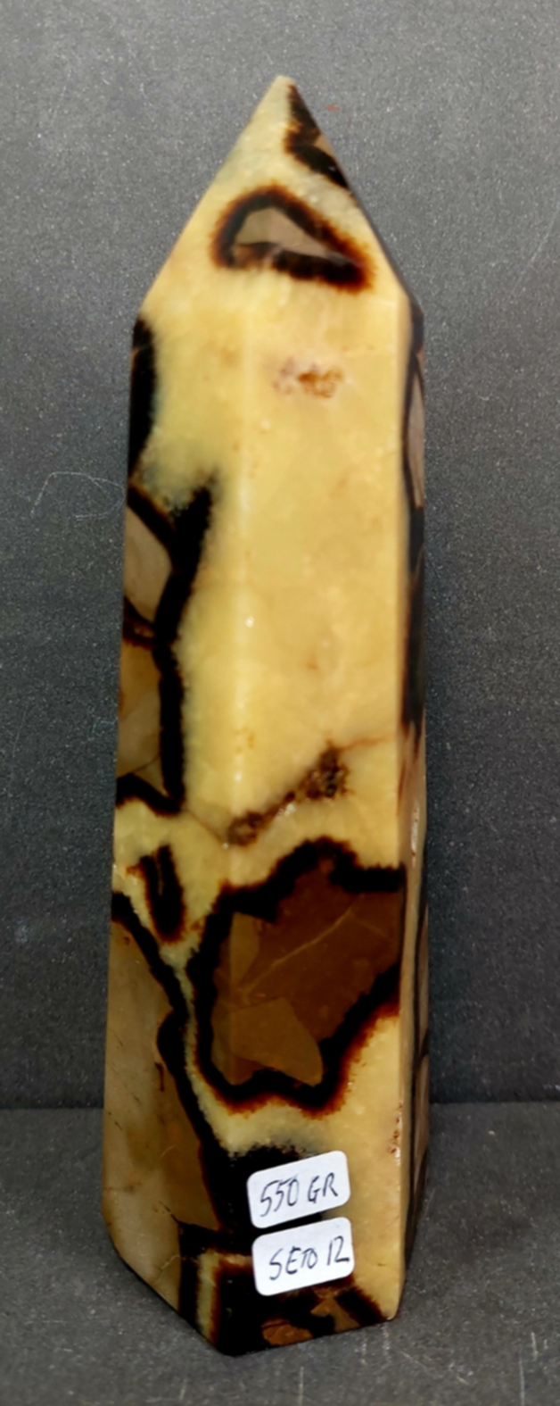 Septaria Torn
