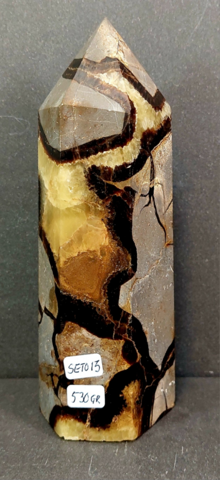 Septaria Torn