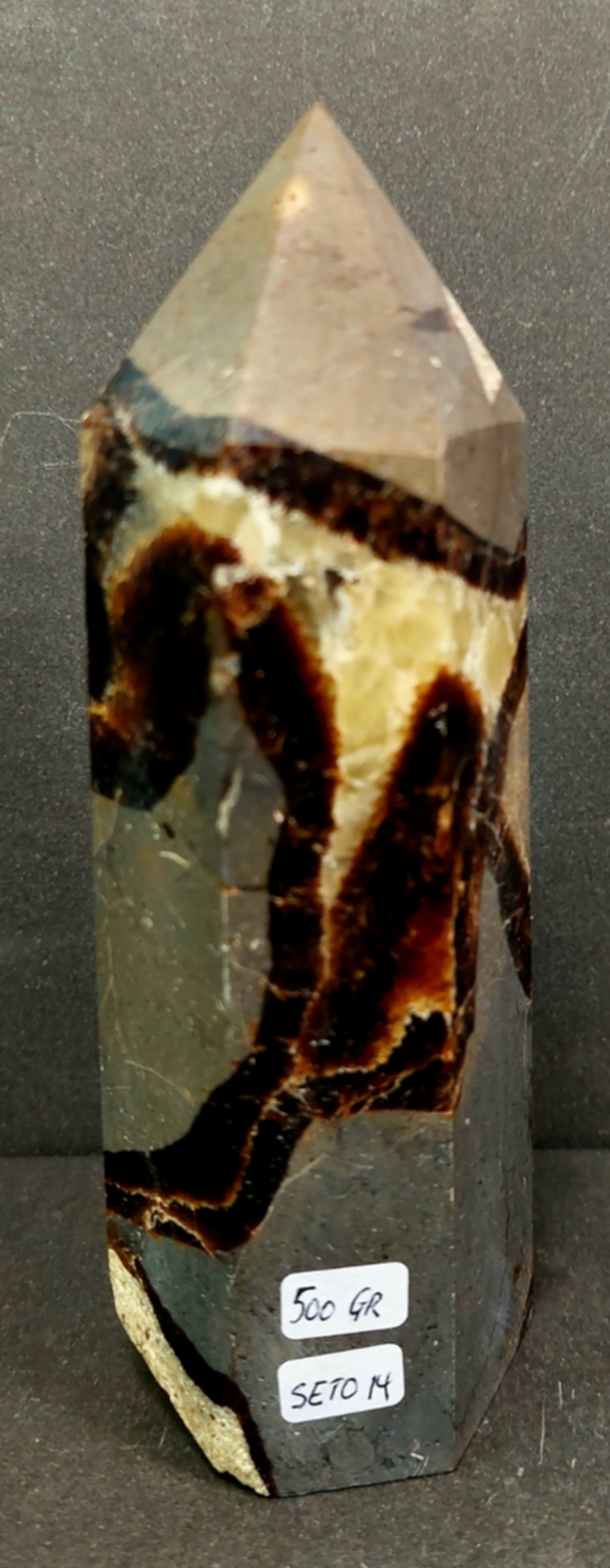 Septaria Torn