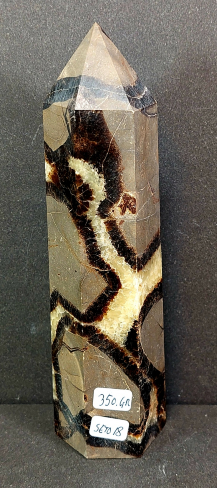 Septaria Torn