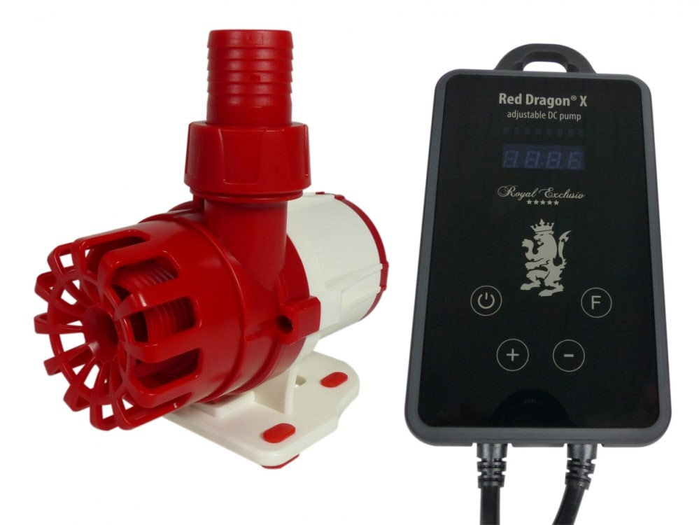 Royal Exlusive Red Dragon X pump