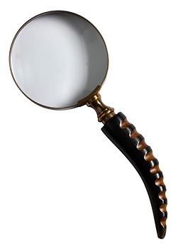 Förstoringsglas horn