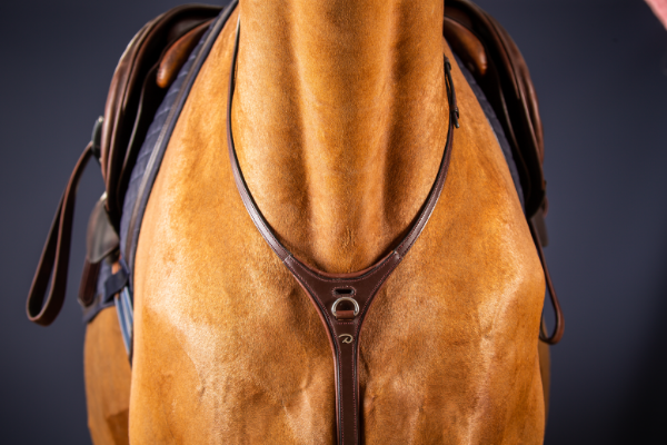 DYON YOKE HALSRING NE - 3